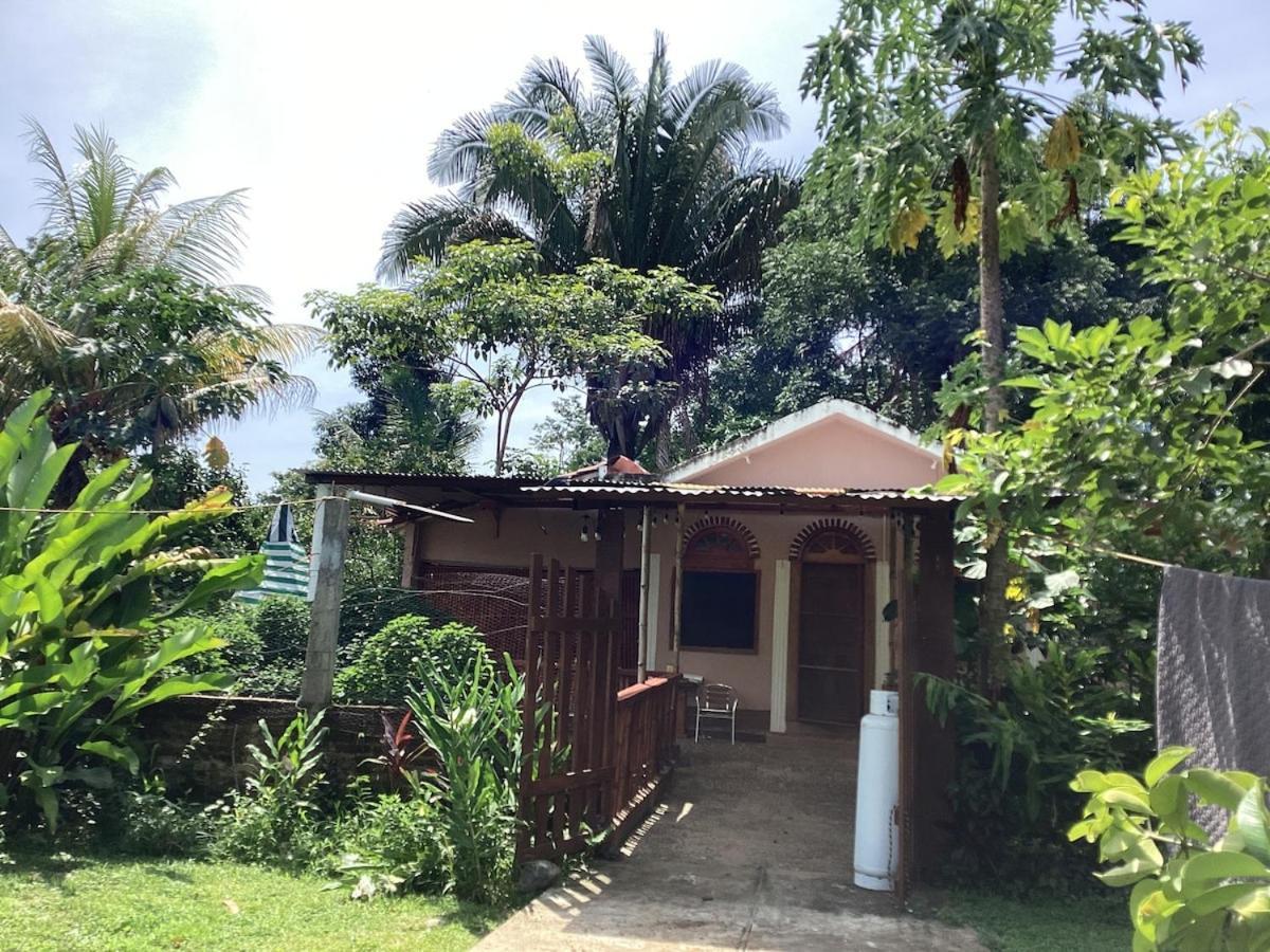 Exotic Flower Cabin2 Pool Agua Bendita Exterior foto